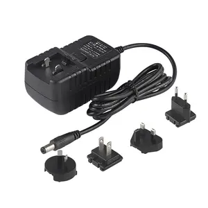 Top Quality Wall Mount Adaptor 12v 24volt 0.2a 0.3a 0.4a 0.5ma 600ma 0.7a 0.75a 0.8a 0.9a 1.5a AC DC Switching Power Adapter