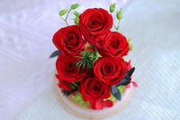 Bunga Mawar Awet Buatan Tangan Grosir dalam Kubah Kaca, Buket Bunga Abadi dengan Lumut dan Hydrangea untuk Hari Valentine, Hari Ibu, dan Dekorasi Rumah