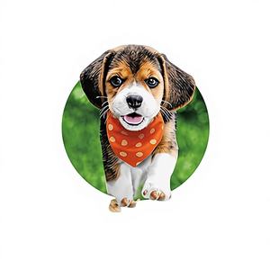 Alimento Seco para Cães com Sabor de Frango 100% Nutricionalmente Balanceado e Rico em Proteínas - Sem Conservantes Artificiais, Direto da Fábrica - Product Image 2