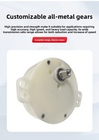 Moteur d'alimentation monophasé antidéflagrant de haute qualité pour machines d'alimentation, fours à micro-ondes, jouets, appareils électroménagers (208-240V AC)