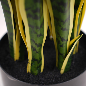 Hot Selling Small Potted <strong>Sansevieria</strong> Artificial Snake Plant 2m Plastic Faux Green Yellow Dongguan Factory for Office Birthday - Product Image 4