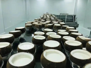 高品质ココナッツハスクリムーバーマシン贩売 - Product Image 6