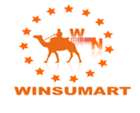Anhui Winsumart Intelligent Technology Co., Ltd.