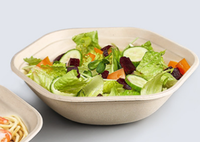 Bol écologique en pulpe de bagasse de canne à sucre biodégradable pour soupes et salades – Vaisselle jetable design