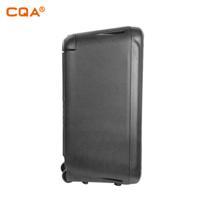 CQA 2020 Nhựa Hoạt Động Bluotooth Loa Xe Đẩy Riêng 8 Inch Loa Với MIC - Product Image 4