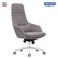 Chaise de bureau ergonomique professionnelle avec soutien lombaire et fonction pivotante