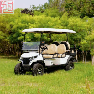 Carrito de golf profesional de 6 plazas Colores exteriores personalizables Combustible eléctrico de 48V Múltiples funciones para varias ocasiones - Product Image 4