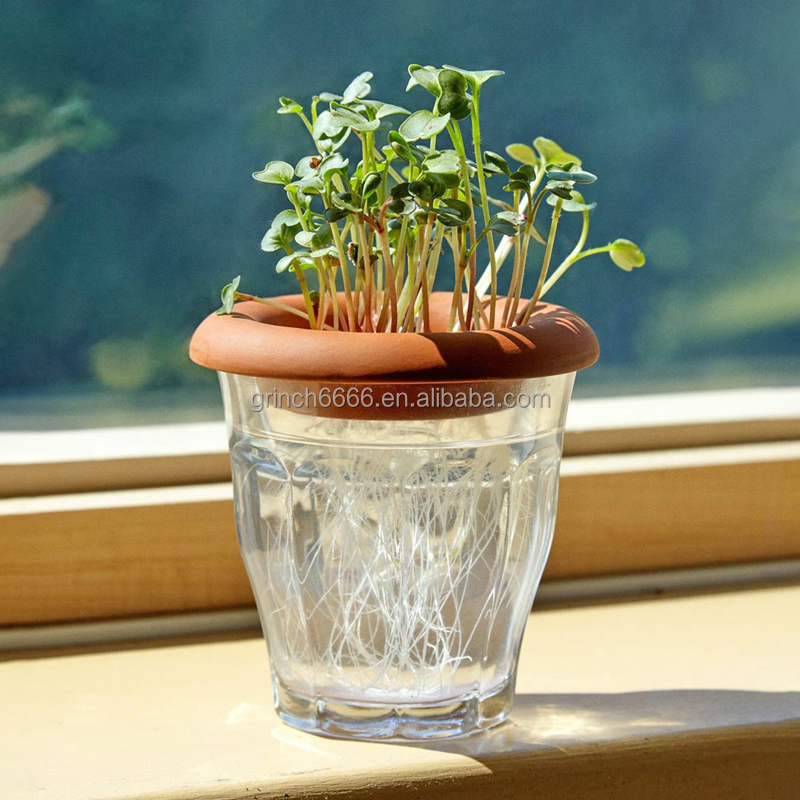 Vaso In Vetro Per Avocado E Castagne – Idroponico, Trasparente, Ideale Per Germogli E Decorazioni Da Tavolo (verde)