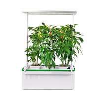 RY كبيرة قدرة 7L نظام استزراع مائي داخلي حديقة ذكي متكاملة أدى النمو ضوء Aeroponics نظام الزراعة المائية المتزايدة