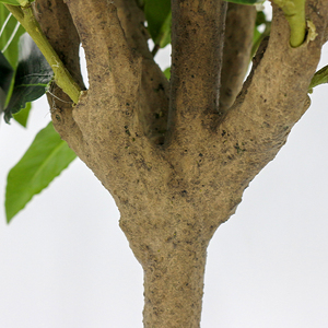 Haute qualité Grand jardinage d'intérieur décor <span class=keywords><strong>Laurier</strong></span> artificiel <span class=keywords><strong>arbre</strong></span> en gros - Product Image 6