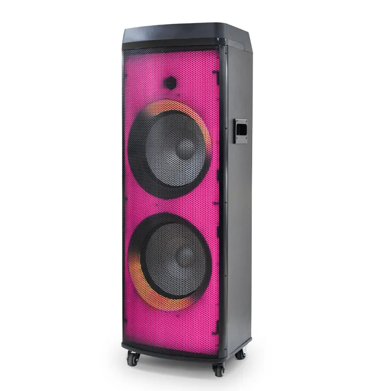 Big Powered Subwoofer Sound Double 12 Inch Bluetooth Wireless RGB Light Party Speaker for Outdoor