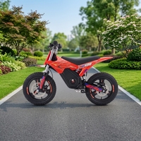 Moto électrique tout-terrain pour enfants DM-900 950W, 36V 7.8Ah, vitesse maximale 35 km/h, autonomie 30 km