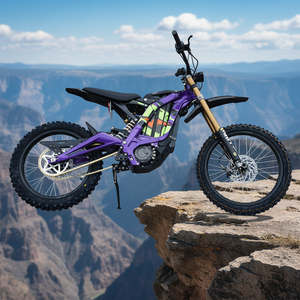 Top Quality Surron Light X Off Road Dirt Bike 60V 40Ah 266N.m 75mph Adult Leisure Motorcycle Light X High Torque Delivers Po - Product Image 4