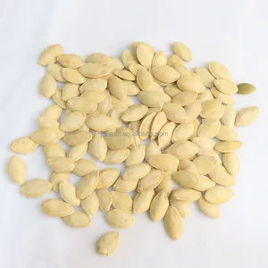 Wholesale Cream Flavour Squash Seeds Nut And Kernel Snacks Organic Pumpkin Kernels Pumpkin Seeds Roasted