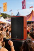 Haut-parleur professionnel pleine gamme V-10 de 10 pouces |   Enceinte PA en bois pour église, bar et restaurant