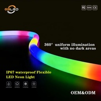 Tube néon acrylique noir D22 360 degrés, bande flexible à pixels RGBIC adressables, 24V, IP67, étanche, pour décoration architecturale