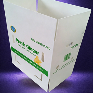 Stackable PP Hollow <b>Sheet</b> Corrugated Corflute Board Support Custom Shape for <b>Plastic</b> Storage Bin Fruit Container Packaging Box - Product Image 2