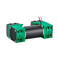 Pompa Udara Mini Diafragma Ganda 12V 24V Kustom Portabel untuk Industri Otomotif, Tahan Korosi, Senyap, Tanpa Oli, Efisiensi Tinggi