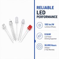 Diodes LED DIP haute luminosité 3mm 5mm 8mm 10mm, lumière rouge, blanc chaud, blanc froid, perles LED traversantes F3 F5 F8 F10, personnalisables OEM ODM