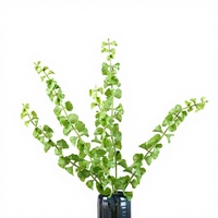 Petite Guirlande de Lierre Artificiel Haut de Gamme en Caoutchouc, Feuilles Vertes, Décoration Florale pour Intérieur, Extérieur et Mariages
