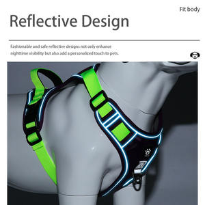 Conjunto de arnés de perro personalizado, collar de Mascota de diseñador y Correa, arnés de cuerpo de perro personalizado, fabricantes de correa de collar de perro - Product Image 4