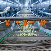 Automatische fruit- en groentewas- en droogmachines