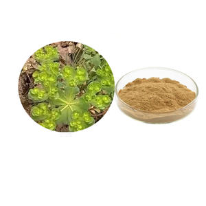 天然ユーカリエキス粉末 10:1 ユーカリエキスL. 抽出物20:1 - Product Image 1