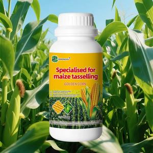 Fertilizante especial para mazorcas de maíz, evitando hojas amarillas y alojamiento; Fertilizante líquido de maíz dorado - Product Image 1
