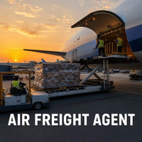 Agente de Envío Aéreo Exprés de Bajo Costo, de China a Australia, DDP Puerta a Puerta, Servicio de Carga Aérea Internacional a Adelaida