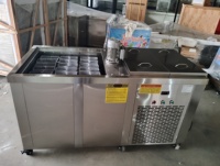 Machine à glaçons professionnelle de 2 tonnes pour la production de grands blocs de glace, modèle 1000 kg, haute qualité, prix compétitif, pour le Botswana