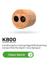 Willfine BK800, Observación Inteligente de Aves con Cámara 4K, Reconocimiento de Especies de Aves por IA