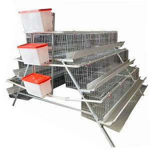 Nouvelle <span class=keywords><strong>cage</strong></span> à poules pondeuses de type A BeYou 96 de <span class=keywords><strong>2026</strong></span>, en acier galvanisé à froid, automatique, multifonctionnelle, état neuf pour élevage de poulets - Product Image 5