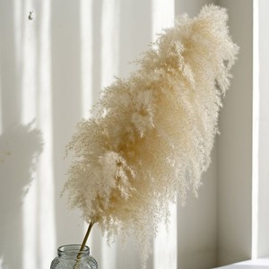 Decoración de Hierba de Pampas Artificial Esponjosa para Navidad, Bodas y Uso Doméstico - Tallos Altos - Product Image 5