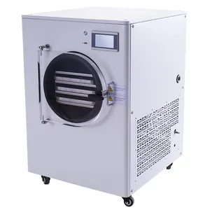 Mini 1kg 3kg Vacuum Home Food Freeze Dryer Machine Lyophilizer For Fruits Vegetable Freeze Drying Machine