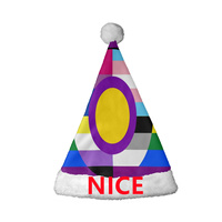 Chapeau de Père Noël personnalisé avec drapeau arc-en-ciel gay lesbien, chapeau de Noël en polaire corail doux pour la marche des fiertés et les déguisements de fêtes
