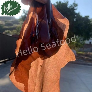 Dulse de Hoja Entera Seca 40g/bolsa Sin OMG, Vegetal Marino, Dulse Seco, Alga Roja - Product Image 6