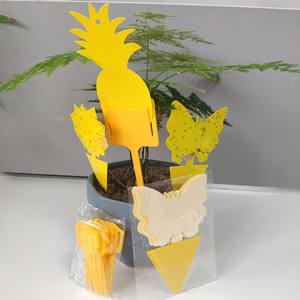 Trappers jetables de colle d'escalier collant jaune Pièges à insectes collants jaunes d'escalier de <span class=keywords><strong>mouche</strong></span> de fruit <span class=keywords><strong>naturel</strong></span> pour l'usage d'intérieur/extérieur - Product Image 4