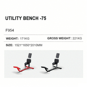 Commercial Indoor or Gym 75 Degree Utility Shoulder Stool WD-F954 Your Trusted Fitness Delivery Partner OEM/ODM Cus - Product Image 3