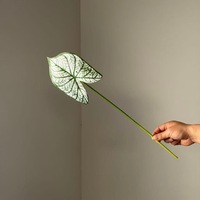 Tanaman Hias Daun Caladium Sentuhan Asli Buatan untuk Dekorasi Rumah, Hiasan Lembut Hijau Putih, Pasokan Grosir