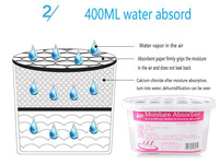 Boîte déshydratante absorbante d'humidité 400 ml, modèle d'origine, stockée, pour usage domestique et armoire intérieure