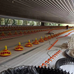 Nhà Máy Giá hoàn toàn tự động động vật feeders và người uống gia cầm ăn dòng cho Gà Thịt gà trang trại nhà thiết bị - Product Image 1