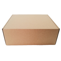 Logo personnalisé ondulé auto-scellant Postal Zipper Mailing Kraft Mailer boîtes adhésif déchirure bandes expédition Zipper Box