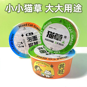 Semillas de hierba para gatos mezcladas en caja de fideos instantáneos, fáciles de cultivar, salud digestiva, snack para gatos - Product Image 3