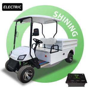 Shininglsv OEM 2 places Cargo Box Chariots de golf Boîte électrique Chariot de golf avec lit plat - Product Image 1