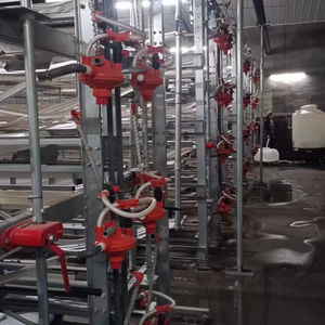 TBB-Cage pour poulets de chair automatique en acier de type H pour poulailler, cage pour animaux de ferme - Product Image 3