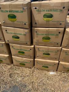 Pastèque à chair jaune fraîche |   Qualité supérieure |   Exportateur en gros du Vietnam |   Pastèque douce sans pépins / à faible teneur en pépins |   30-60 - Product Image 5