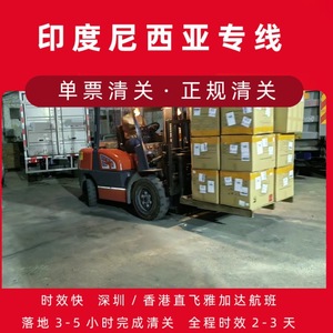 Línea de Transporte Aéreo de Shenzhen Junfei Logistics Indonesia, Carga General de Shenzhen a Indonesia, Envío Individual, Despacho de Aduanas - Product Image 4