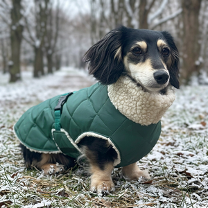 Quilted Cotton Polyester Sherpa-lined Simple Pet Coat Taiwan Made Eco-Friendly Solid L Size Cold Weather Small Dog - Product Image 1