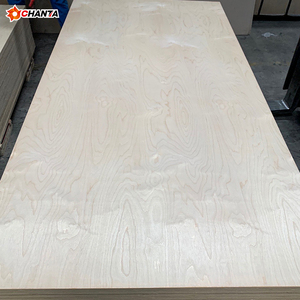 Contrachapado de abedul báltico al por mayor de 3 mm, 6 mm y 18 mm <span class=keywords><strong>S</strong></span>/<span class=keywords><strong>BB</strong></span> <span class=keywords><strong>BB</strong></span>/CP - Product Image 6
