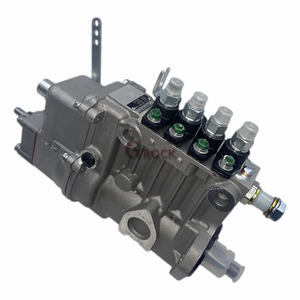 Wuxi Weifu Brandstofpomp BHF4PM100001 4PL1156 - Product Image 6